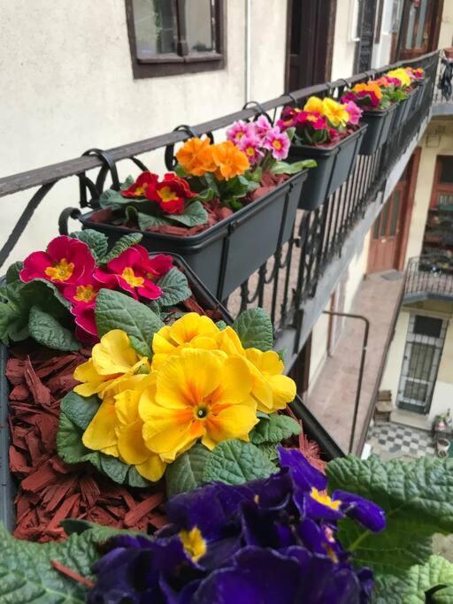 Perfect Location,Newly Decorated Modern, Large Place 60 M2, Really Quiet So You Can Have A Good Night Sleep, Ac, Netflix, Smart Tv, High-Speed Internet, World Famous New York Cafe Only 10 Minutes Walk Budapest Exterior foto